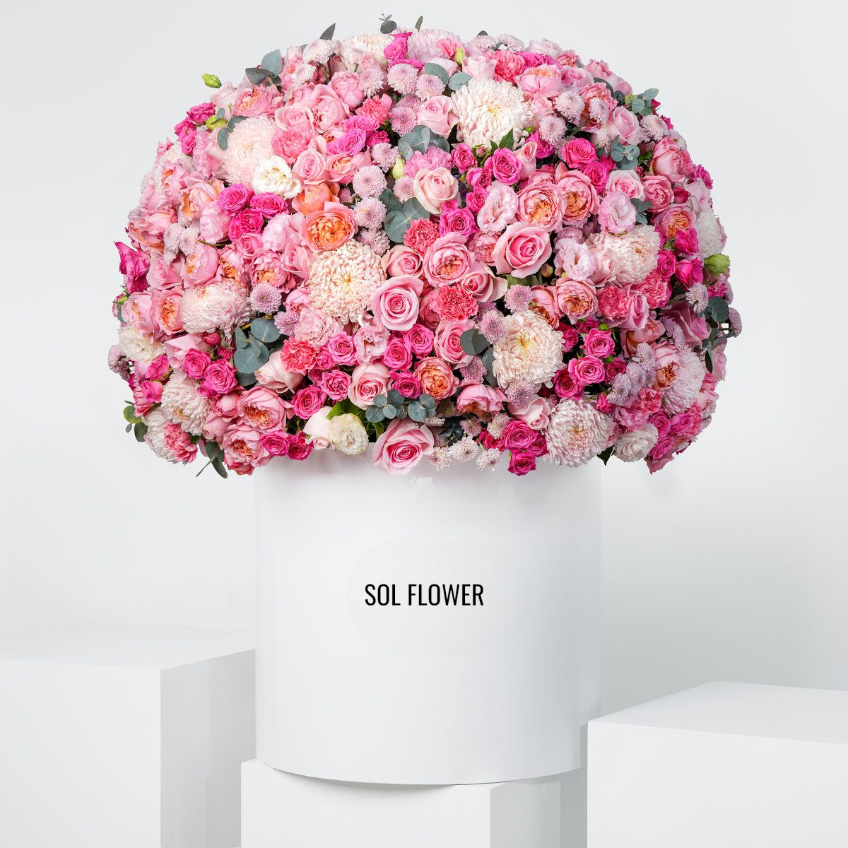 Royale Alissa Hatbox