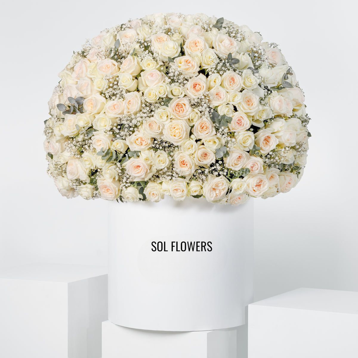 Royale Bianca Hatbox