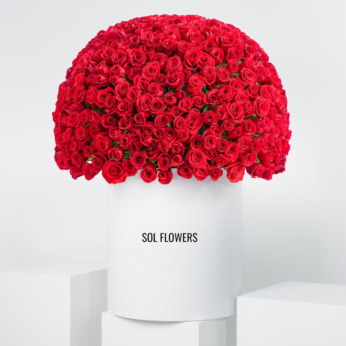 500 Red Roses XXL